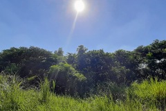 20200906_151047