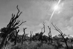 20200906_151419-01