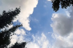 20210820_174216