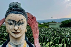 20201224_160429