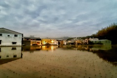 20210303_181714-01