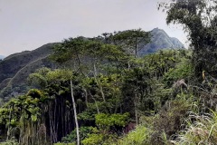 20210304_132411-PANO