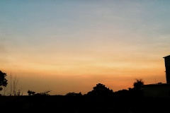 20201125_172929-01