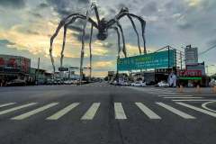 Art-In-Caotun
