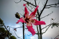 20201031_161024