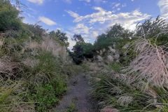 20201106_162149