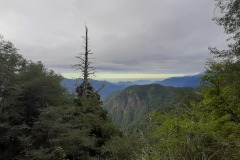 20201112_154905