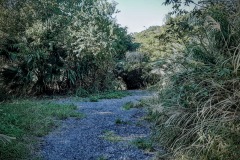 20201115_144933