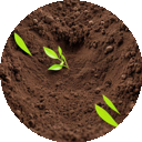 dirt.png