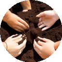 soil.png